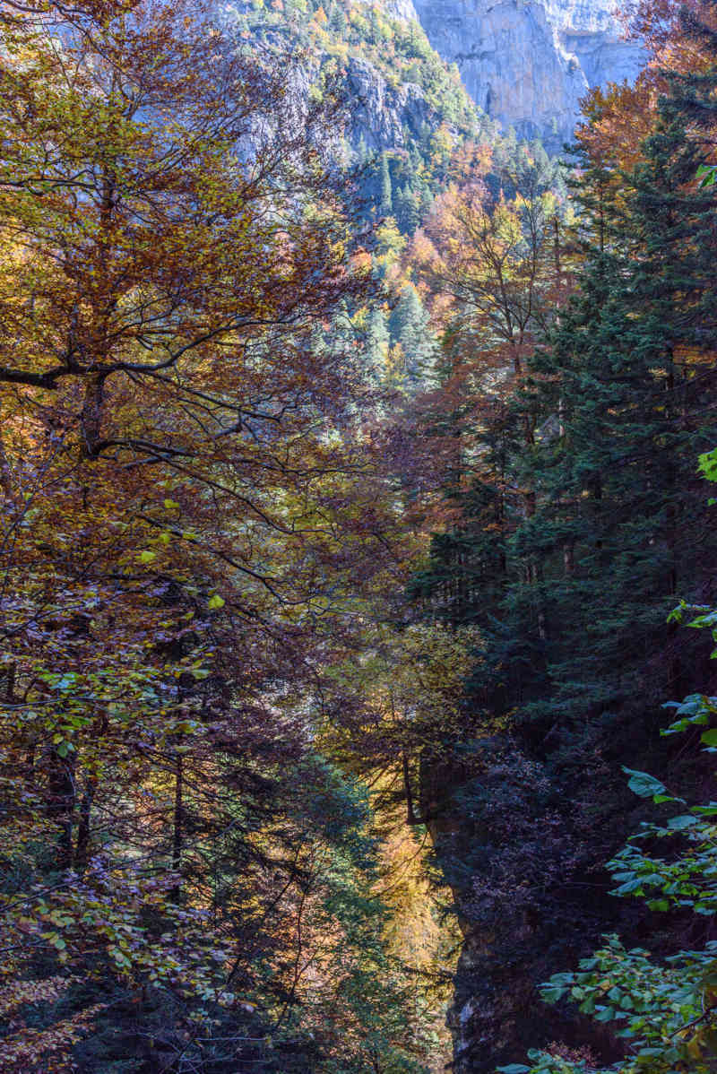 Huesca - parque nacional de Ordesa y Monte Perdido - valle de Añisclo 51 - cañon de Añisclo.jpg